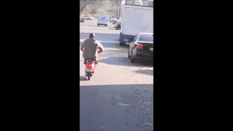Bait Moped Makes a Fool of Another Dumb Thief