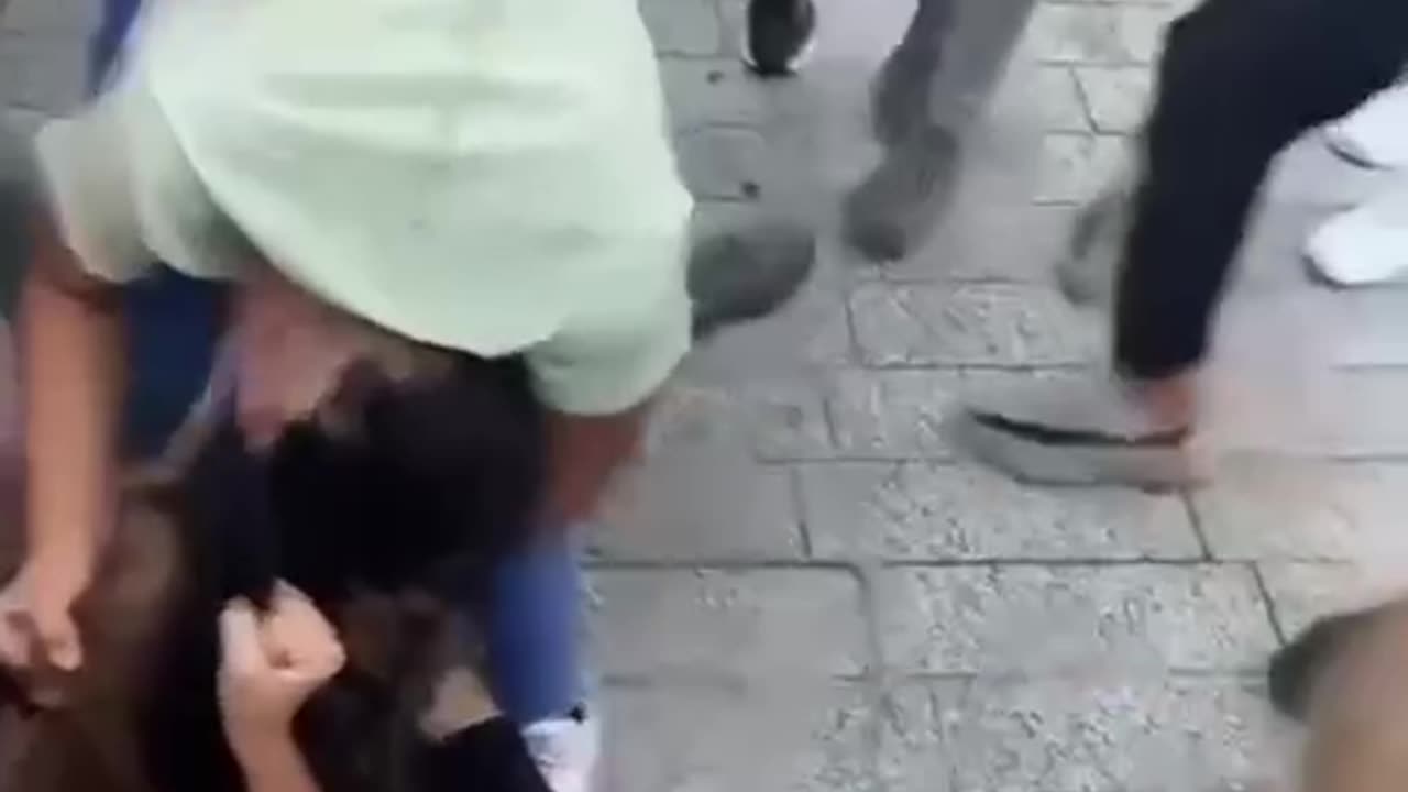 3 VS 1 Girl Fight