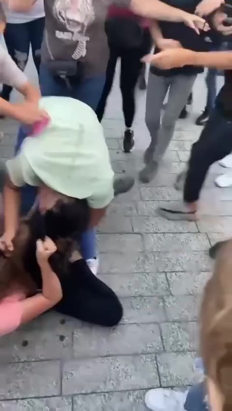3 VS 1 Girl Fight