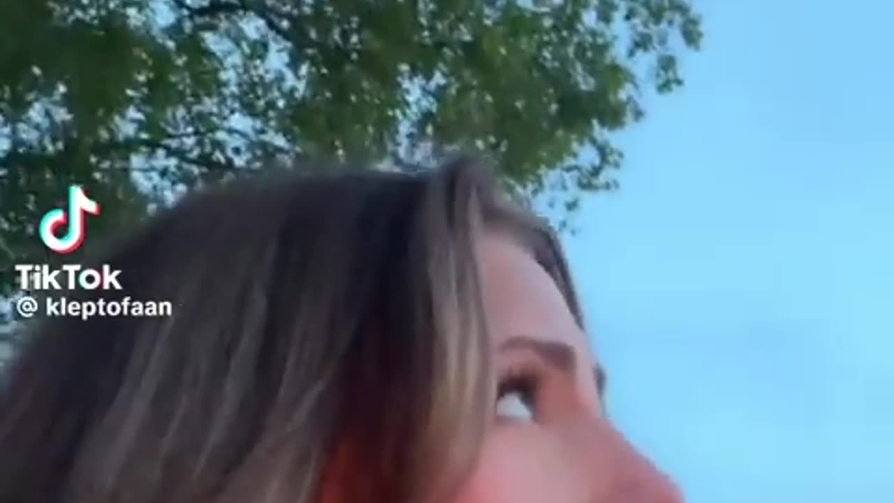 😂🦅 You Won't Believe How the Seagull Reacts! | FunFM