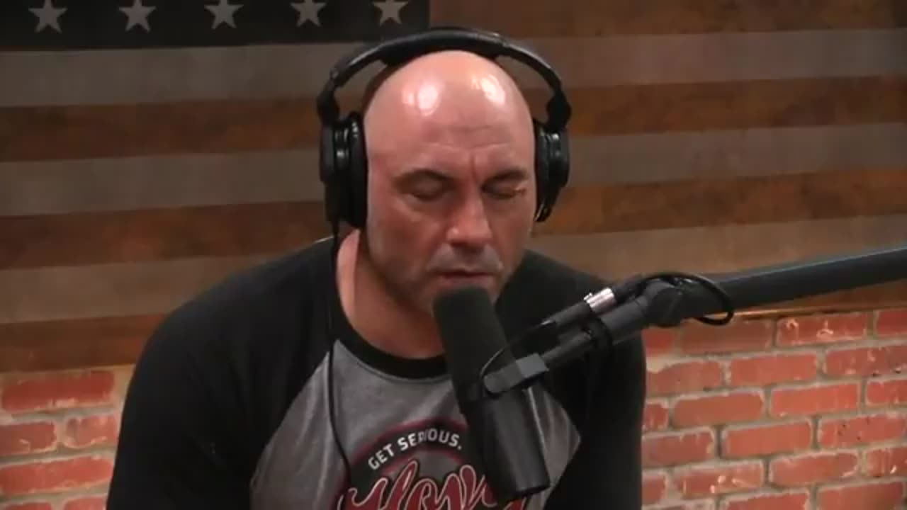 On Joe Rogan’s podcast in September 2018, Tulsi Gabbard acknowledged that Russia interfered in the 2016 election