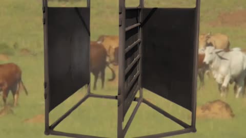 Superior Standard Diverter Cage