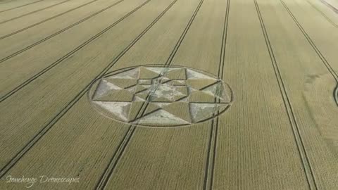 Crop Circle | Chillandham Lane (1) près de Winchester Hampshire | 04/07/23