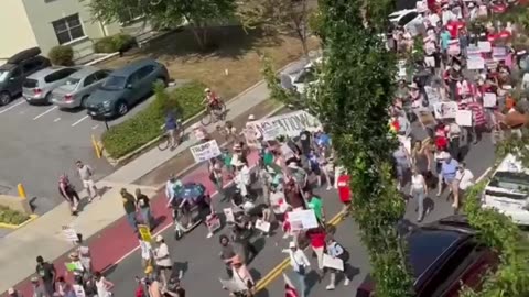 wing groups are now organizing protests in Washington, D.C.,