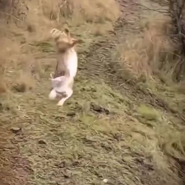 The most perfect maneuver I have ever seen! 👌