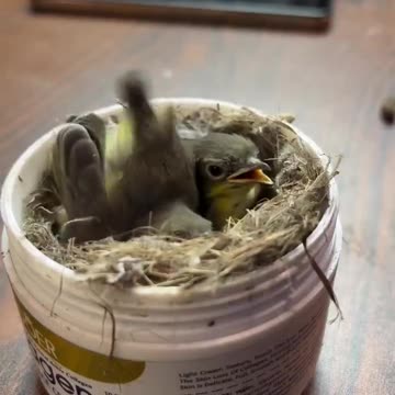 I just learnt something new today… and I’m shocked 😳