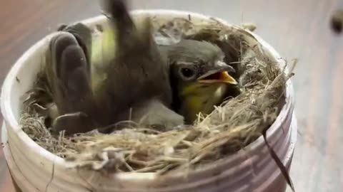 I just learnt something new today… and I’m shocked 😳