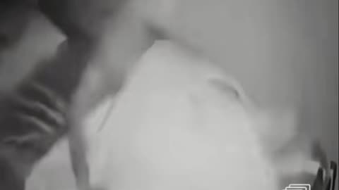 😨👻 5 Horror Clips You Won't Believe! #horrortok #horror #realhorror #realhorrorclips #realhorrortok