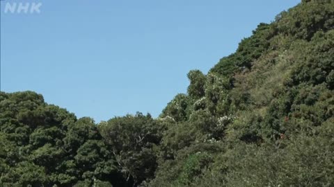 さわやか自然百景 関門海峡 秋
