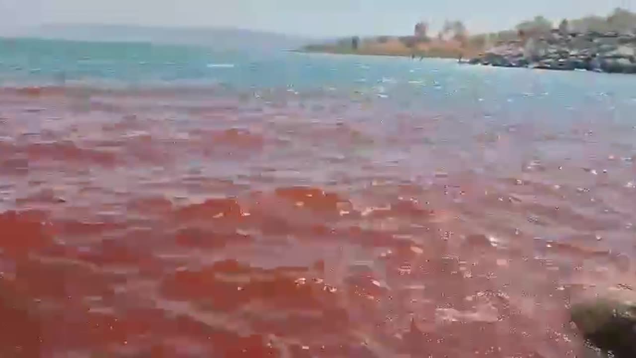 Sea of Galilee Turns Red Amid Algae Bloom, Officials Say It’s Safe
