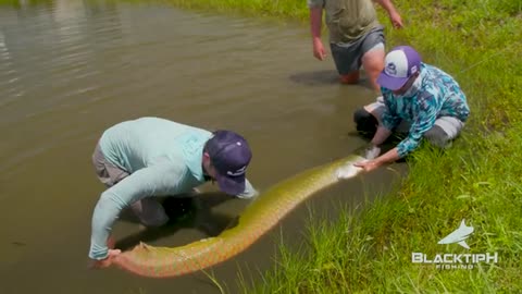 We Caught the Florida Pond Monster_part8
