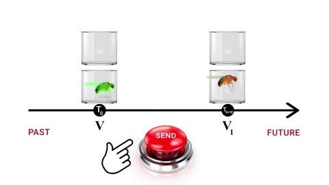 Time Teleportation Paradox: The Experiment by Egon Cholakian