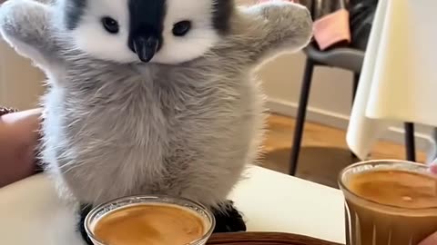 penguin