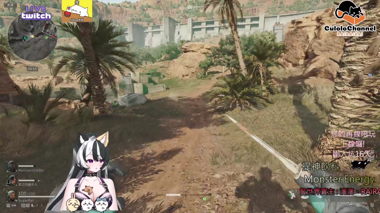 🌱vs🧟♀️ New version⭐新手向⭐🥺倉鼠系玩家🥺| 來聊天R ✨💎(๑˃̵ᴗ˂̵)و Culolo Channel(๑˃̵ᴗ˂̵)و 5 Taiwan優質台💎✨