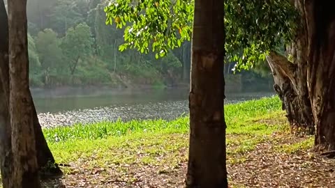 13.11.2025 Morning Stroll