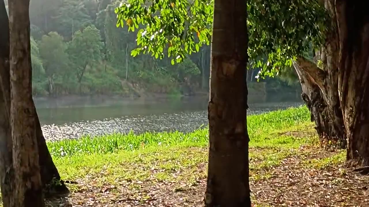 13.11.2025 Morning Stroll