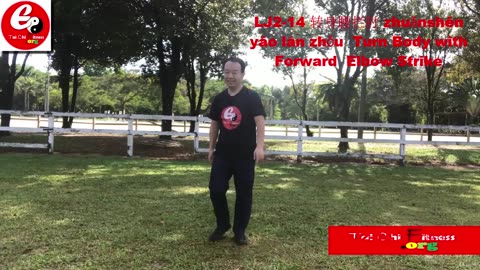 Aerobic Tai Chi Workout-016-Turn Body with Forward Elbow Strike