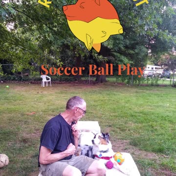 Soccer ball play with platforms and balance beams 1