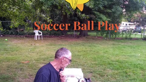 Soccer ball play with platforms and balance beams 1