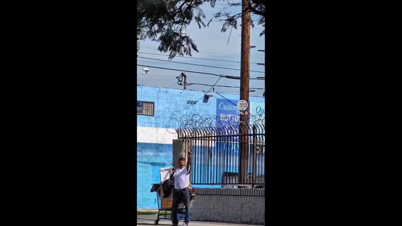 LA homeless are evolving, they reached stage of Hunters and Gatherers.