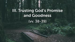 Nov. 9, 2025 - Sunday PM MESSAGE - Teach Me the Path to Life (Psalm 119:33-40)