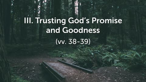 Nov. 9, 2025 - Sunday PM MESSAGE - Teach Me the Path to Life (Psalm 119:33-40)