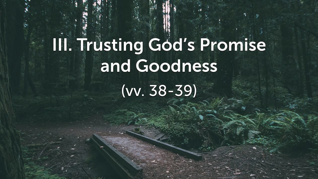 Nov. 9, 2025 - Sunday PM MESSAGE - Teach Me the Path to Life (Psalm 119:33-40)