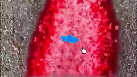 Shocking Egg Destruction! The Dark Truth Behind Salmonella Contamination