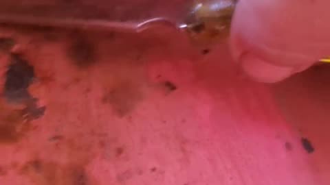 080825 Craftsman toolbox clean up PART 3