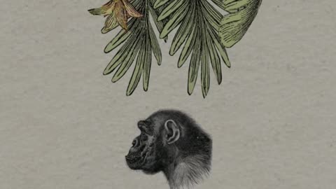 Agnostics are almost always actually atheists