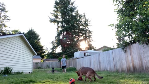 backyard hangout 32980432098432