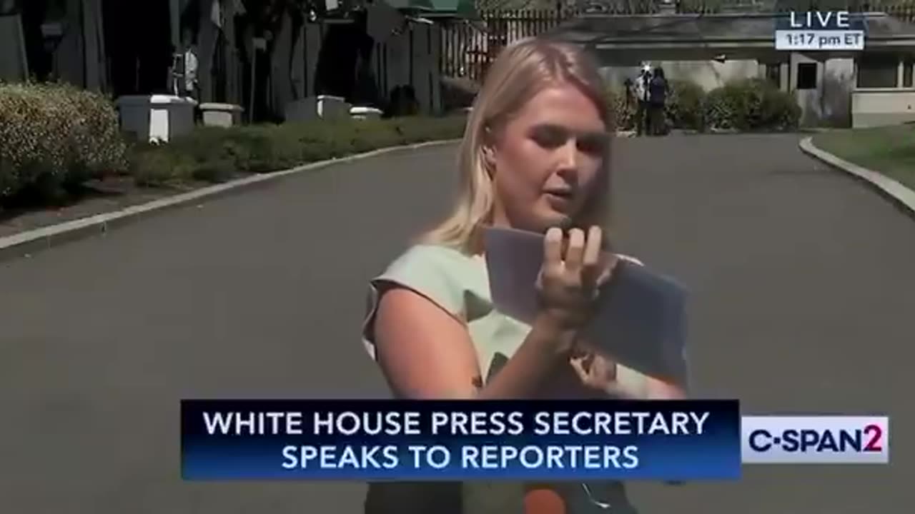 Karoline Leavitt Brings a Chart with Tariff Facts