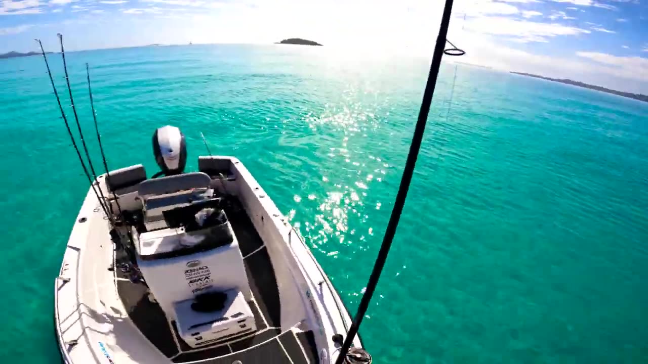 Fishing Paradise: One Perfect Day by the Water