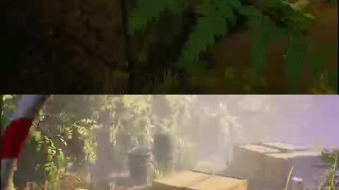 ¡Salta y diviértete!