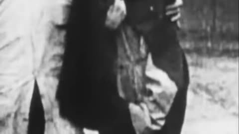 First Footage of Auschwitz-Birkenau: Unmasking the Horrors of the Holocaust