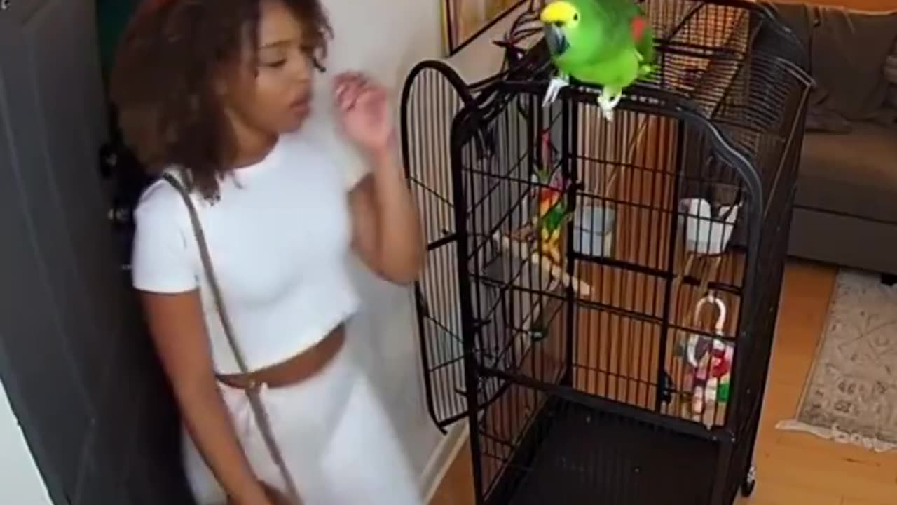 “Fifth guy this week! Fifth guy this week!”