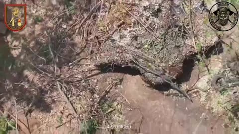 War in ukraine