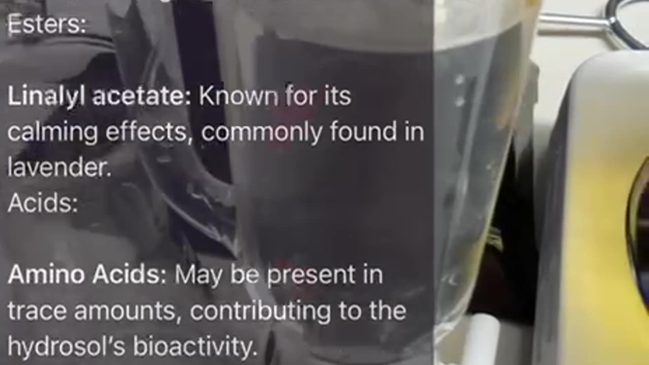 Steam Distillation of Cannabis: drinking the hydrosol