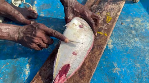 Fischerträume Thunfischangeln in Singapur #SingapurAngeln #Thunfischfischen #StadtundMeer