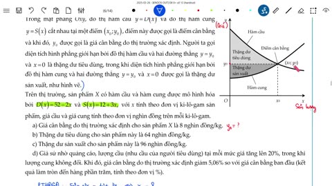 "Đề toàn diện 8+ số 13 "