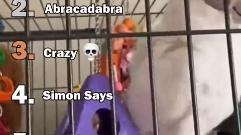 Funny video