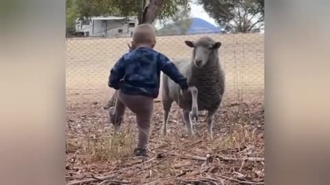 "Cuteness Attack! The Funniest Animals on the Internet"