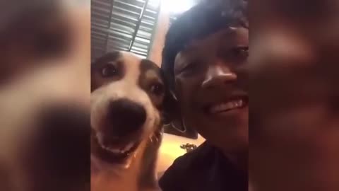 "Cuteness Attack! The Funniest Animals on the Internet"