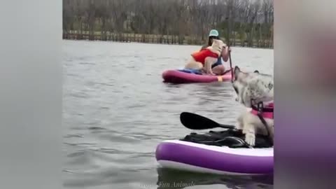"Cuteness Attack! The Funniest Animals on the Internet"