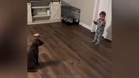 "Cuteness Attack! The Funniest Animals on the Internet"