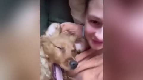 "Cuteness Attack! The Funniest Animals on the Internet"