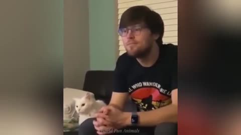 "Cuteness Attack! The Funniest Animals on the Internet"