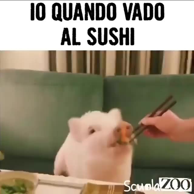 Every time I go at the Japanese restaurant