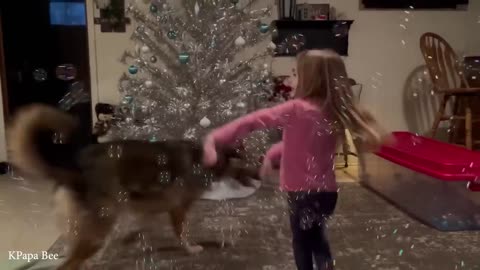 When your dog sees you as their whole world❤️