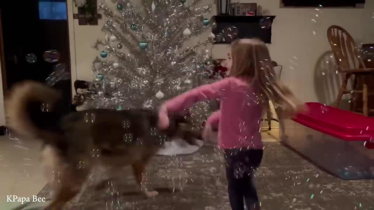 When your dog sees you as their whole world❤️